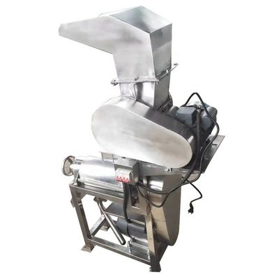 comprar Máquina para hacer jugo de sandía de alta calidad. Fabricación en línea