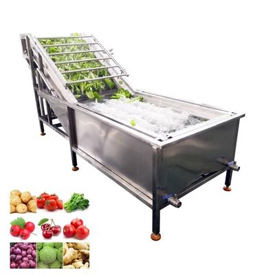 comprar Lavado de jengibre multifuncional con doble burbuja de agua Espinacas Lavado industrial de frutas Sistema de ozono Fabricación en línea