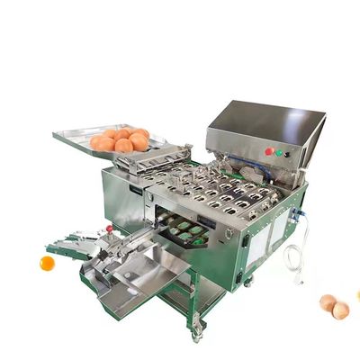 comprar Equipo para el procesamiento de huevos líquidos para la fabricación de huevos en polvo Fabricación en línea