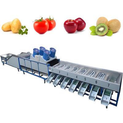 comprar Máquina de lavado de frutas y verduras de producción automática Fabricación en línea