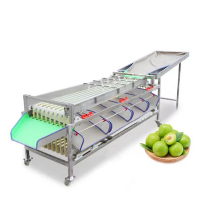 comprar Los hoteles se benefician de la selección del peso de la fruta y de la clasificación automática del tamaño de la fruta para la máquina de procesamiento de frutas y verduras Fabricación en línea