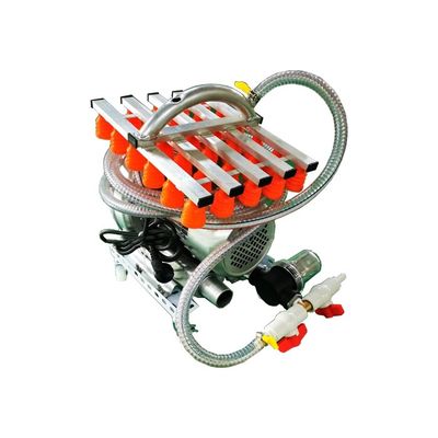 Capacidad personalizable Elevador de huevos al vacío 30 huevos/partido 304 de acero inoxidable